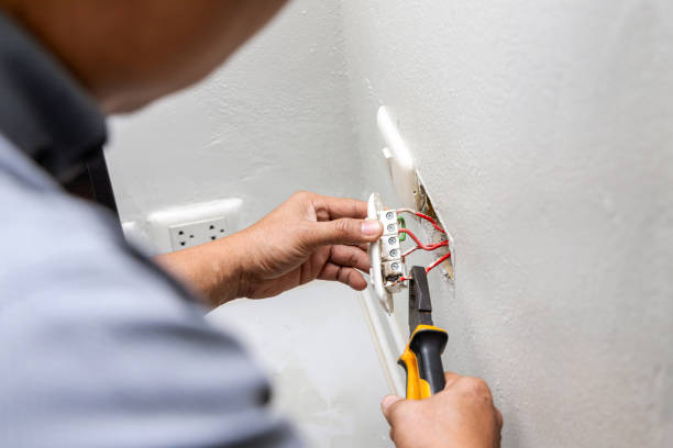 Best Electric Panel Repair  in Portage, MI